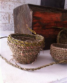 Squid Studio - Accommodation Coffs Harbour 1