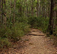 Pigeon House Mountain Didthul walking track - Accommodation Coffs Harbour