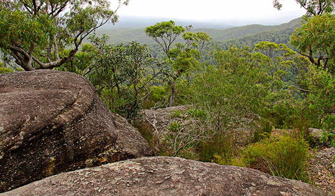 Pigeon House Mountain Didthul Walking Track - Accommodation Coffs Harbour 1