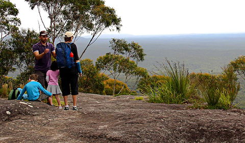 Pigeon House Mountain Didthul Walking Track - Accommodation Coffs Harbour 2