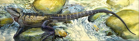 Manning Regional Art Gallery - Accommodation Coffs Harbour 4