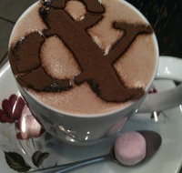Ampersand Caf Bookstore Paddington - Accommodation Coffs Harbour