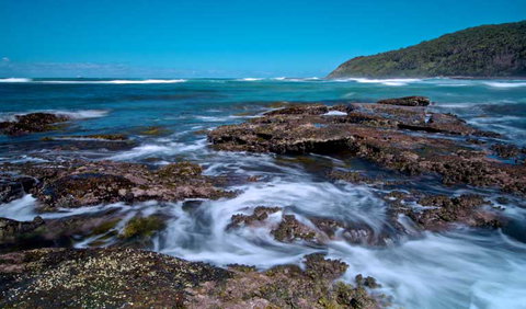 Wyrrabalong National Park - Accommodation Coffs Harbour 0