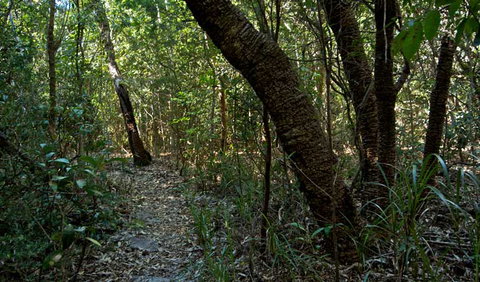 Wyrrabalong National Park - Accommodation Coffs Harbour 2
