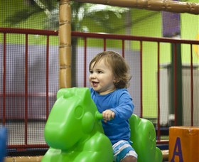 Monkey Mania EQ - Accommodation Coffs Harbour 3