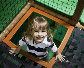 Monkey Mania EQ - Accommodation Coffs Harbour 1