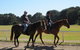 Centennial Parklands Equestrian Centre - thumb 0