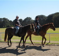 Centennial Parklands Equestrian Centre - Accommodation Coffs Harbour