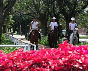 Centennial Parklands Horse Ride - Accommodation Coffs Harbour 1