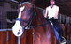 Centennial Parklands Horse Ride - thumb 3