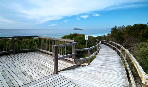 Tea Tree Picnic Area And Lookout - Accommodation Coffs Harbour 0