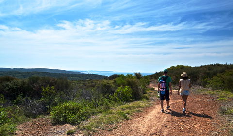 Moonee Beach Trail - Accommodation Coffs Harbour 0