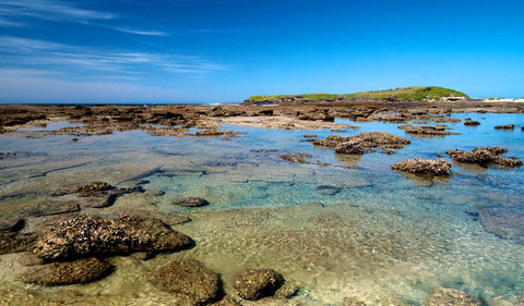 Moonee Beach Trail - Accommodation Coffs Harbour 2