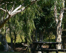 Upper Mongogarie NSW Accommodation Coffs Harbour