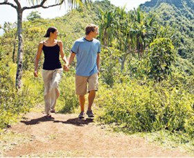 Saddleback Mountain ACT Accommodation Coffs Harbour