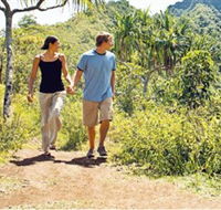 Hoddles Track - Accommodation Coffs Harbour