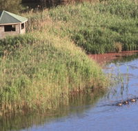 Spring Creek Bird Hide - Accommodation Coffs Harbour