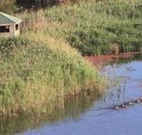 Spring Creek Wetlands Walk - Accommodation Coffs Harbour