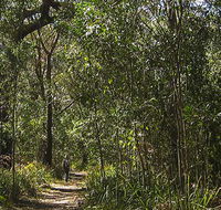 Sand track walk south - Accommodation Coffs Harbour