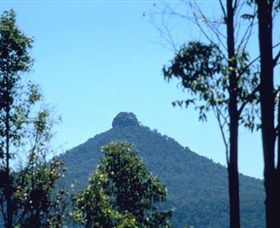 Morton NSW Accommodation Coffs Harbour