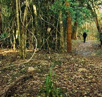 Sand track walk north - Accommodation Coffs Harbour