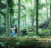 Illinbah circuit - Accommodation Coffs Harbour