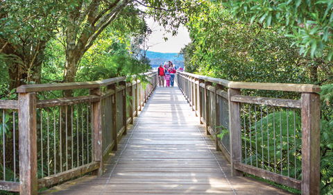 Skywalk Lookout - Accommodation Coffs Harbour 0