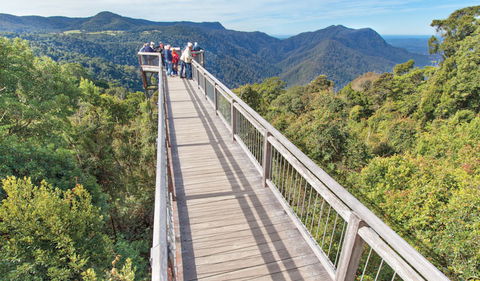Skywalk Lookout - Accommodation Coffs Harbour 1
