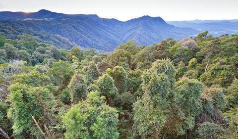 Skywalk Lookout - Accommodation Coffs Harbour 2