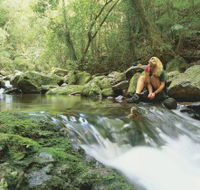 Dave's Creek circuit - Accommodation Coffs Harbour
