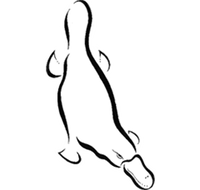 Platypus Gallery - Accommodation Coffs Harbour
