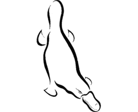 Platypus Gallery - Accommodation Coffs Harbour 0