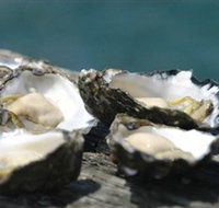 Jim Wilds Oyster Service - Accommodation Coffs Harbour