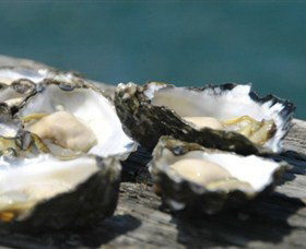Jim Wilds Oyster Service - Accommodation Coffs Harbour 0