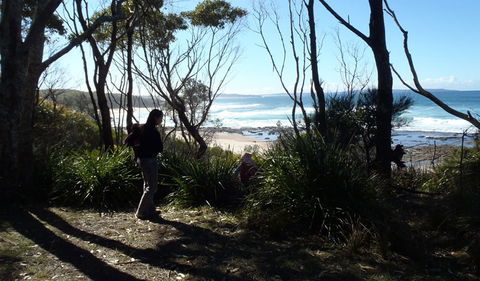 Monument Beach Picnic Area - Accommodation Coffs Harbour 2