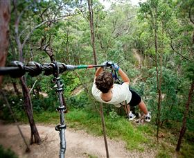 TreeTop Challenge - Accommodation Coffs Harbour 0