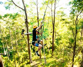TreeTop Challenge - Accommodation Coffs Harbour 3