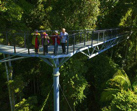 Tamborine Rainforest Skywalk - Accommodation Coffs Harbour 1