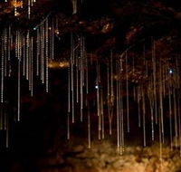 Tamborine Mountain Glow Worm Caves - Accommodation Coffs Harbour