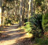 Square Head track 2 - Accommodation Coffs Harbour