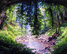 Dorrigo Rainforest Centre - Accommodation Coffs Harbour 1
