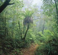 Wagawn - Accommodation Coffs Harbour