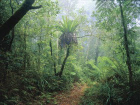 Wagawn - Accommodation Coffs Harbour 0