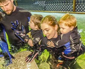 Taylors Beach NSW Accommodation Coffs Harbour