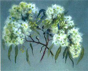 Norma Holt Studio Gallery - Accommodation Coffs Harbour 1