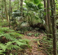 Durras Lake Discovery trail - Accommodation Coffs Harbour
