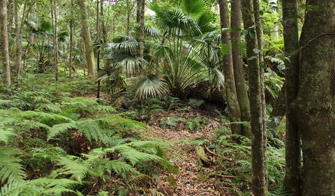 Durras Lake Discovery Trail - Accommodation Coffs Harbour 0