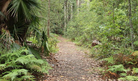 Durras Lake Discovery Trail - Accommodation Coffs Harbour 1