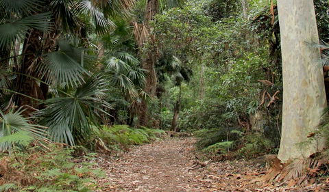 Durras Lake Discovery Trail - Accommodation Coffs Harbour 2