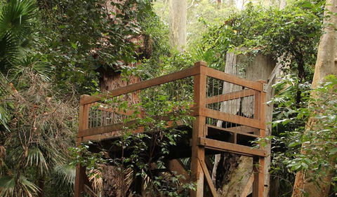 Durras Lake Discovery Trail - Accommodation Coffs Harbour 3